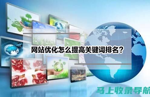 SEO新手成长记：网站内外优化全攻略