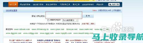 如何利用站长之家SEO查询推广效果
